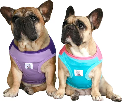 Vista 9 de iChoue - Camisetas de rayas de algodón 100% transpirable para Bulldog francés, chaleco de Halloween para perros medianos, camisetas Frenchie Pug