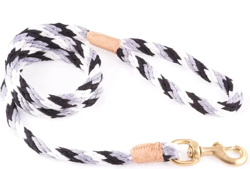 Vista 227 de Alvalley Correa para perros estilo broche – Correa de nailon estilo broche para perros – Fácil de manejar – Perfecto para perros pequeños, medianos
