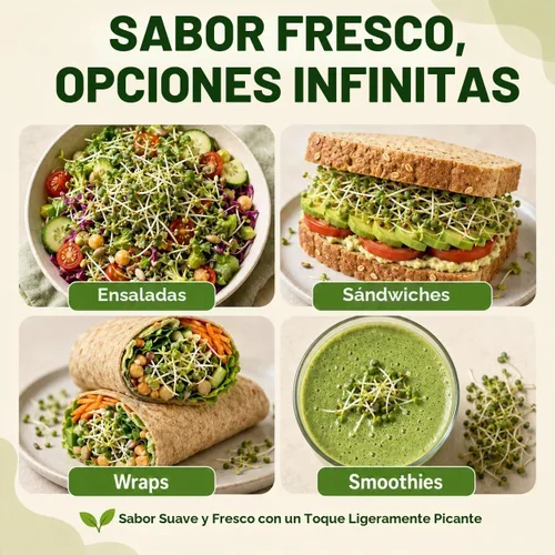 Vista 5 de Gardeners Basics Semillas de brócoli para germinar, semillas microverdes a