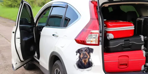 Vista 5 de Winston & Bear Calcomanías divertidas de pared para perros Rottweiler, paquete de 2, calcomanías 3D Rottie para paredes, automóviles, inodoro y más