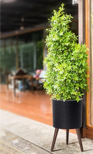 Vista 6 de D'vine Dev Maceta Elegante con Patrón de Azulejos Geométricos Modernos de 12 Pulgadas con Soporte, Portamacetas Decorativo para Interiores