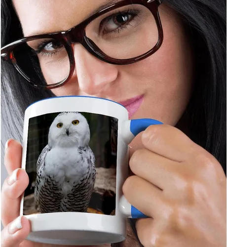 Vista 2 de 3dRose mug_79143_6 Taza de dos tonos azul con texto en inglés "Pretty White Snowy Owl- Birds- Animals" (11 onzas), multicolor