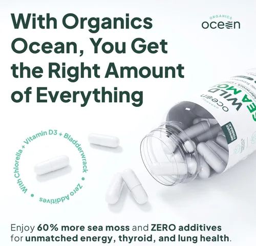 Vista 3 de Cápsulas de musgo marino salvaje orgánico de Organics Ocean - Musgo marino irlandés 100% orgánico con clorella orgánica, fucus y vitamina D