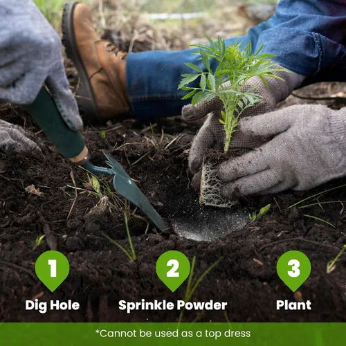 Vista 7 de Big Foot Polvo soluble en agua probiótico para plantas establecidas y trasplantes – Cultiva el tamaño de la raíz, aumenta el nitrógeno, cultiva