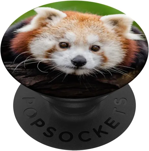 Vista 6 de Oso panda rojo animal raro de China PopSockets MagSafe PopGrip para iPhone