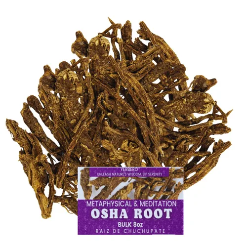 Vista 7 de Yerbero - Raíz de Osha 3.5 oz (100 g) Raiz de Chuchupate Ligusticum porteri Zanahoria de montaña, raíz de oso 100% natural Purificación