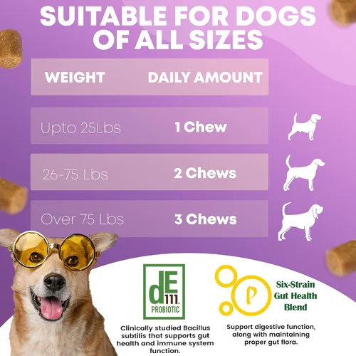 Vista 5 de Probióticos para perros para la salud digestiva – 120 masticables para perros – Probióticos para perros – Probióticos para perros – Probióticos