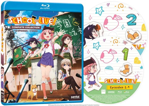 Vista 2 de SCHOOL-LIVE BD