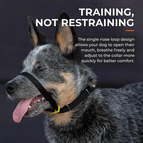 Vista 5 de Canny Gentle - Collar de cabeza de entrenamiento para perros sin tirones, color negro, talla 4 Kind, safe, comfortable & gentle, trains your dog