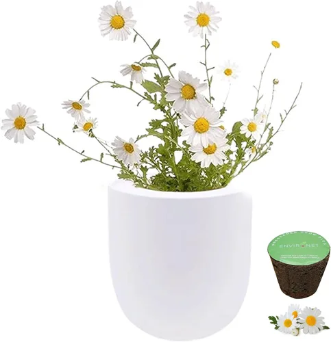 Vista 5 de Kit de cultivo hidropónico, kit de inicio de jardín con riego automático con maceta de cerámica blanca y semillas (caléndula)