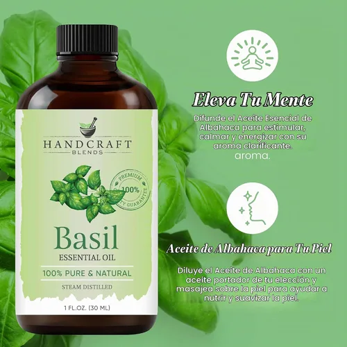 Vista 4 de Handcraft Blends Aceite Esencial de Albahaca – 1 Fl Oz – 100% Puro y Natural – Aceite Esencial de Grado Premium para Difusor y Aromaterapia, Piel
