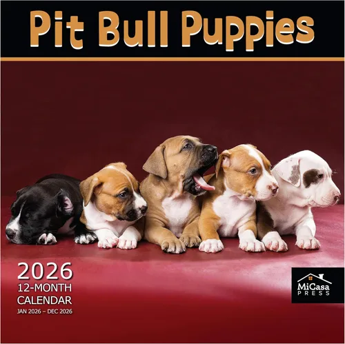 Vista 92 de MICASA PRESS Calendario de pared de Australian Shepherds Aussies 2027 02 - Pastores australianos