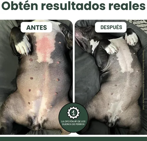 Vista 4 de Aerosol de hidrocortisona para perros – Spray antipicazón para perros de 4 onzas para piel irritada, puntos calientes, picaduras de pulgas, picazón