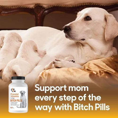 Vista 3 de Píldoras de perra Vitaminas prenatales para perros Vitaminas prenatales para perros Thomas Pet Earlier 120 tabletas