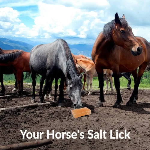 Vista 7 de Bloque de sal de roca del Himalaya 100% natural, ladrillo para lamer sal mineral para animales, caballos y ciervos 5 libras, 5-8 libras