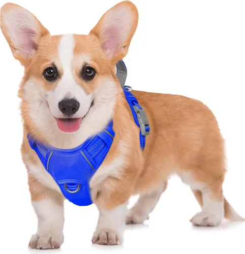 Vista 71 de BARKBAY Arnés para Perro Sin Tirones Talla Grande Arnés Reflectante para Perro con Clip Frontal y Asa de Control Fácil para Caminar Entrenar Correr