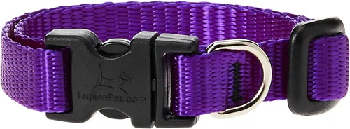 Vista 10 de LupinePet Basics - Collar ajustable rojo de 1/2 pulgadas, 10-16 pulgadas, para perros pequeños
