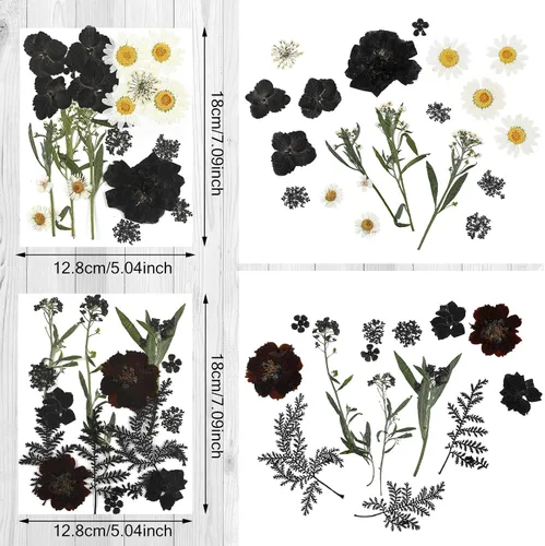 Vista 4 de Nuanchu Flores secas prensadas negras para manualidades, flores secas góticas, flores silvestres prensadas naturales a granel con pinzas para molde