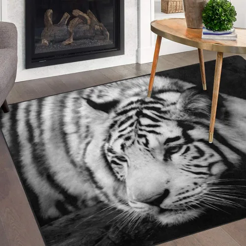 Vista 13 de Naanle Alfombra egipcia antideslizante para sala de estar, comedor, dormitorio, cocina, 1.7 x 2.6 pies (20 x 31 pulgadas / 19.7 x 31.5 in), alfombra