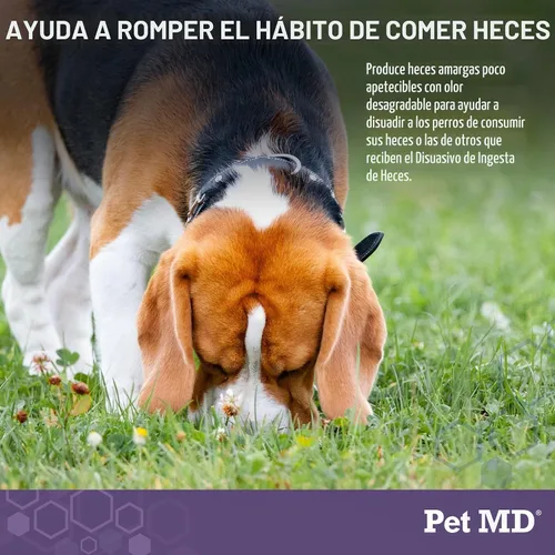 Vista 2 de Pet MD Taburete Disuasorio para Perros - Deja de comer caca para perros - 60