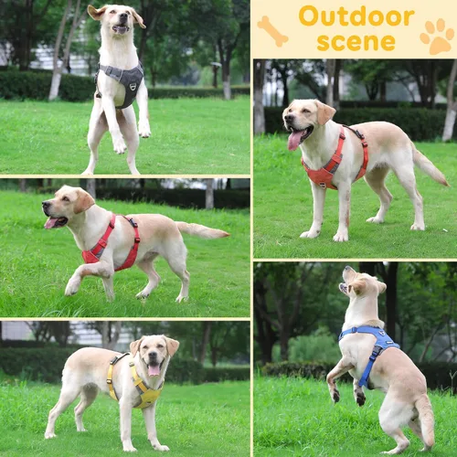 Vista 5 de LIOPARD Arnés para perro, arnés para mascotas fácil de caminar sin tirones, con 2 clips para correa, chaleco reflectante suave acolchado ajustable