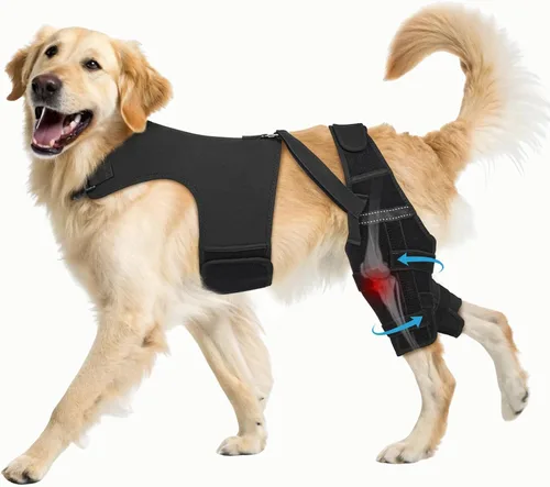 Vista 9 de Dog Knee Brace with Metal Stabilizers for Torn ACL Hind Leg, XS