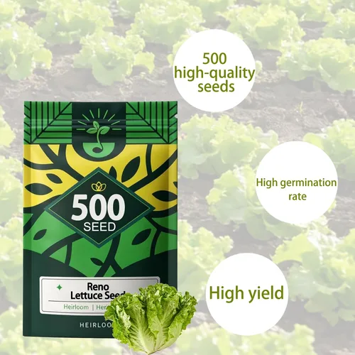 Vista 2 de 5000 semillas de lechuga Buttercrunch para plantar, semillas de vegetales de temporada fría sin OMG para cultivo hidropónico y suelo, lechuga