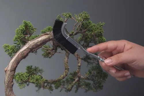 Vista 6 de Wazakura Cepillo De Cabeza Curva Bonsai Hecho En Japón 9-1/4inch(235mm) - Negro