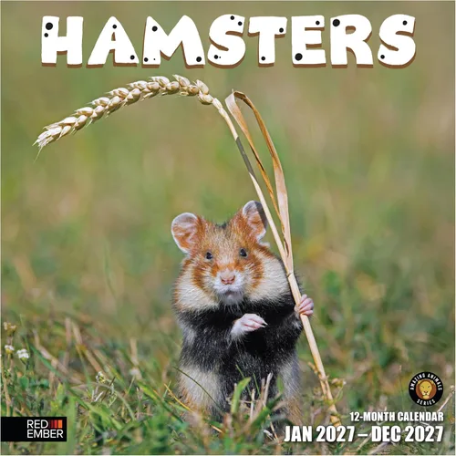 Vista 30 de RED EMBER Calendario de pared Doggy Disasters 2027 de 12 meses 01 - Perros traviesos