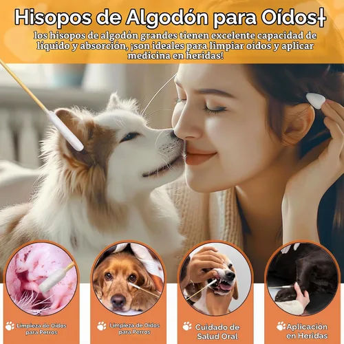 Vista 3 de 100 hisopos de algodón de 6 pulgadas de largo en caja, hisopos de algodón grandes profesionales con mango de bambú, hisopos de doble cara para Doble