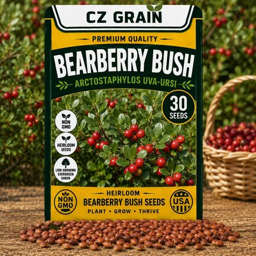 Vista 13 de CZ Grain Semillas para plantar, 40 pequeñas mezclas de calabaza