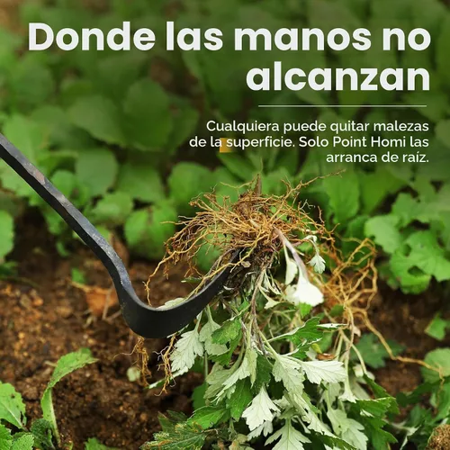 Vista 2 de Point Homi - Azada de mano, herramienta de jardín tradicional coreana hecha a mano con mango de madera de castaño y acacia para deshierbar y plantar