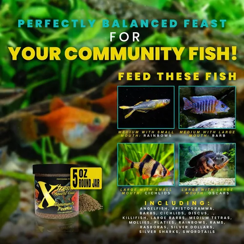 Vista 4 de Xtreme Community Peewee - Gránulos de 0.059 in: hundimiento lento e ideal para peces comunitarios, aumenta la salud inmune y digestiva, mejora