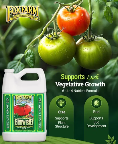 Vista 2 de FoxFarm Grow Big - Alimento líquido para plantas en floración - Fertilizante para flores, frutas y verduras, perfecto para plantas en macetas