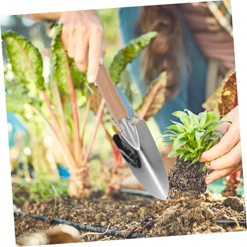 Vista 5 de Balacoo Juego de herramientas de mano de jardín ergonómico 2pcs pala de acero inoxidable para jardinería al aire libre e