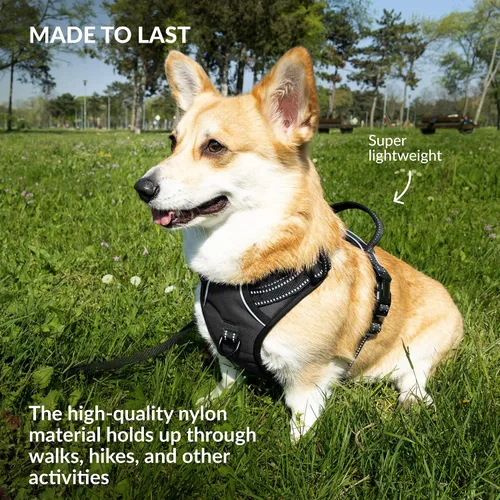 Vista 5 de CollarDirect Arnés reflectante sin tirones para perro, con asa y clip frontal, chaleco acolchado suave ajustable para perros pequeños a grandes