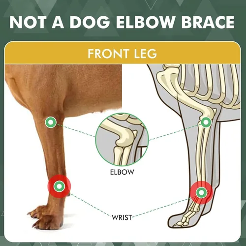 Vista 2 de Sorandy Adjustable Reflective Dog Knee Brace, Breathable Secure Dog Canine Front Leg Brace for Cruciate Ligament, Arthritis Relief, Wound Care &