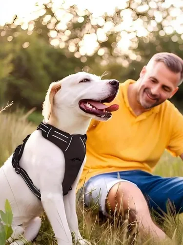 Vista 5 de Arnés para perro, arnés sin tirones para mascotas con 2 clips para correa, chaleco acolchado suave ajustable para perro, chaleco Oxford reflectante