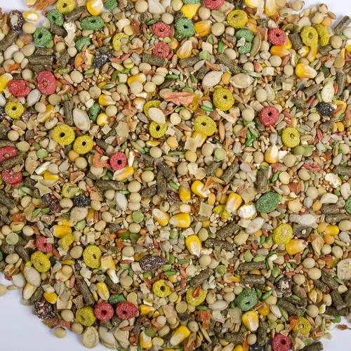 Vista 2 de Wild Harvest Dieta de nutrición avanzada para hámster y jerbo, 4 libras, multicolor, talla única (E1950W), 4 libras