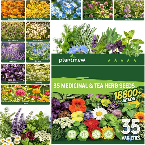 Vista 11 de 35 Medicinal & Tea Herb Seeds Variety Pack for Indoor & Outdoors
