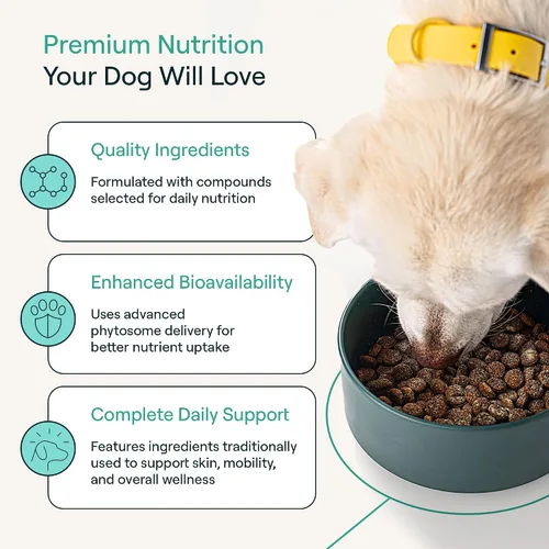Vista 3 de POP-Topper - Comida para perros – Polvo multivitamínico para perros de 35 libras en adelante – Deliciosa base de caldo de huesos con 6