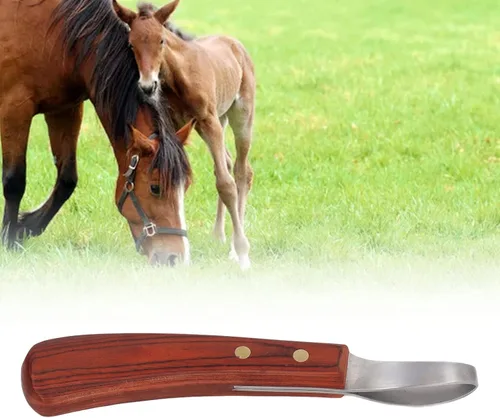 Vista 2 de ANGGREK Cuchillo de pezuñas,Herrador de caballo,Tijeras de recortadora de pezuñas de goma Mango de madera multiusos Ganado Caballo Cortador