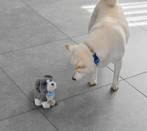 Vista 5 de Home-X - Schnauzer juguetes para perros eléctricos mascotas interactivas animales de peluche