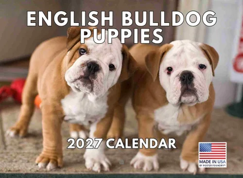 Vista 91 de Calendario mensual de pared Airedale Terrier Dog 2027