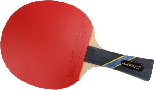 Vista 3 de MAPOL 4 Star paletas de ping pong profesional/entrenamiento avanzado con funda para transportar (2 piezas)