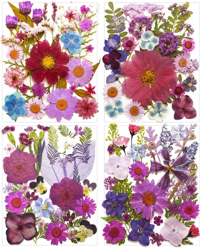 Vista 12 de Kit de 140 hojas de flores secas prensadas para moldes de resina y Blanco Amarillo 140pcs