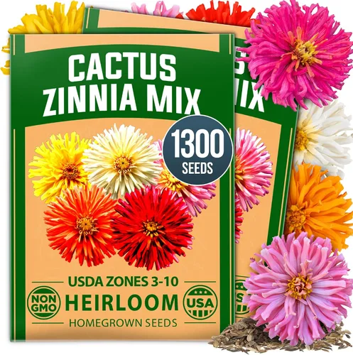 Vista 44 de HOME GROWN Semillas de Hollyhock de doble mezcla de Chater, 200 semillas