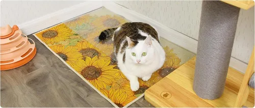 Vista 9 de Protector de alfombra resistente para puerta, plástico resistente que evita que gatos y perros rayen tu alfombra y alfombras en las puertas
