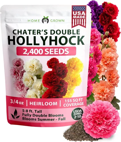 Vista 94 de HOME GROWN Semillas de zinnia rosa – 300 zinnias Luminosa 0.5g, semillas anuales de flores fáciles de cultivar para plantar al aire libre para 2026