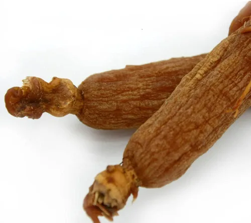Vista 2 de Raíz de ginseng rojo, ginseng rojo de Corea, raíz de ginseng rojo coreano, raíz de ginseng coreano rojo orgánico natural, raíz de ginseng radix